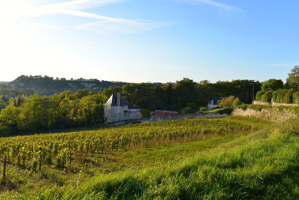 Gites Troglodytes Du Chateau De L'Etoile Vernou-sur-Brenne Номер фото